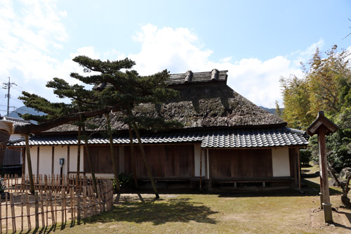 村田清風記念館に隣接する三隅山荘に植樹されています