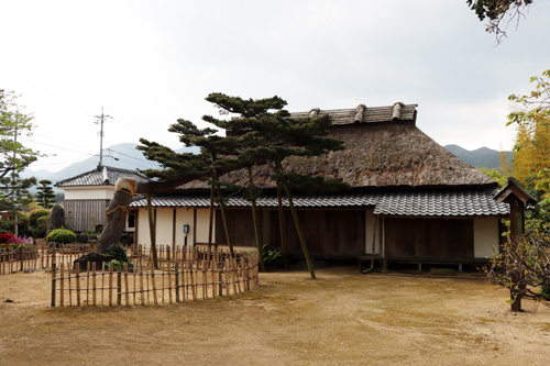 式典後の例年行われている三隅山荘でのお茶会などは中止となった