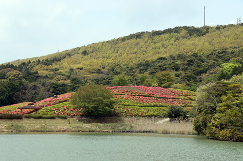 千畳敷に向かう途中にある菅無田公園