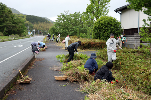 約1時間かけて国道191号線沿いの雑草を取り除く