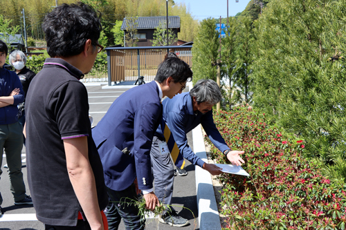 樹木の種類による剪定方法などを指導