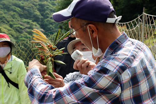 作業前に注意点などを説明
