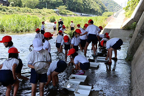 楽しみながら生き物について学ぶ