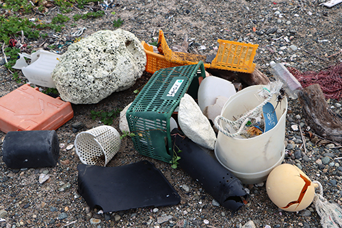 プラスチックごみや漁具などさまざま