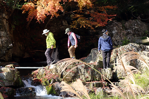 第６回ONSEN・ガストロノミーウォーキングが開催