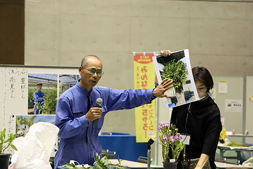 デンドロビウムは育てやすい花ですと話す高見清さん