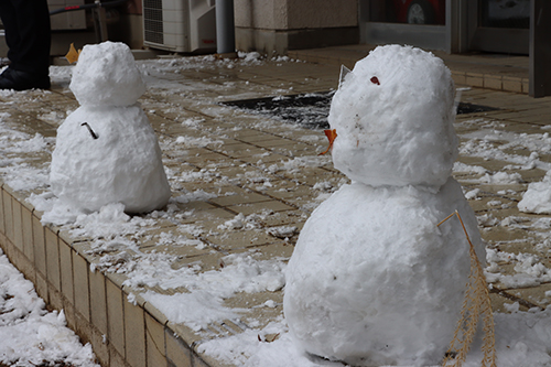 明日９日にかけて気温は氷点下を推移する見込み、しんしんと雪が降り積もる
