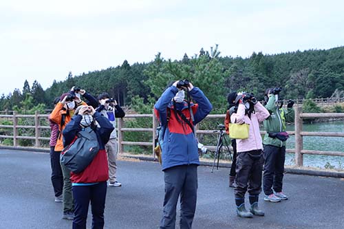 自然豊かな菅無田公園に生息する鳥を観察