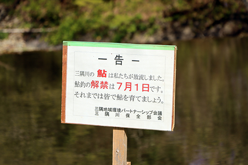 三隅川での鮎釣りは7月1日に解禁される