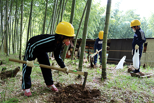 俵山小学校の3、4年生がタケノコ掘り体験