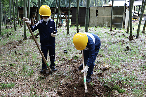硬い土に苦戦しながらもタケノコを収穫