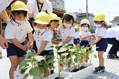 園児による水やり「大きくなあれ」