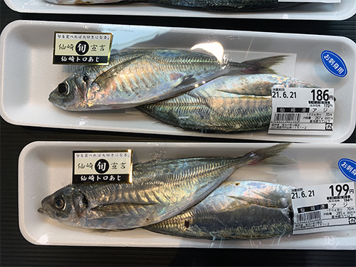 道の駅センザキッチンなどでラベルをつけた仙崎トロあじが販売されている