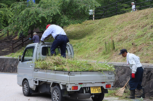 車両で運ばれていく草。地域住民の手によって作業がどんどん進んでいく。