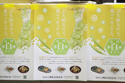 長門市の伝統野菜「白オクラ」は強い粘りとシャキシャキとした食感が特徴