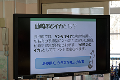 給食を食べる前に仙崎ぶとイカについて学ぶ