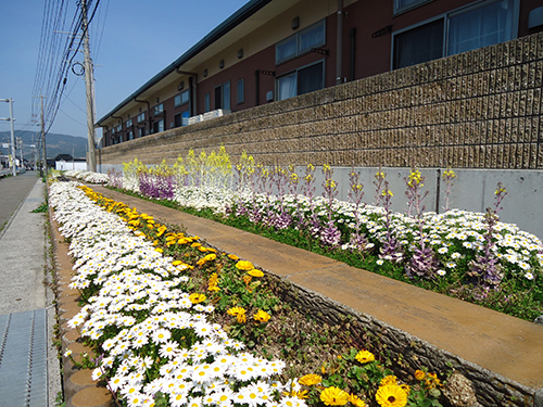 市内141カ所の花壇の整備を行っている