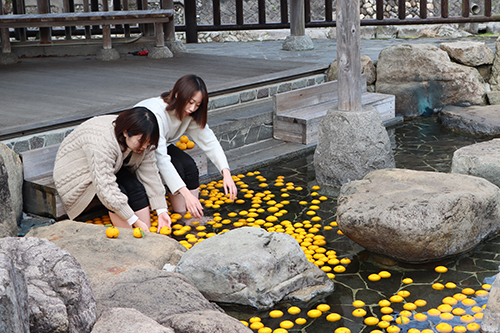 「樹になる」「黄になる」「気になる」の3つの意味が込められた「きになる長門ゆずきち」