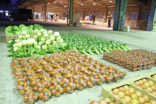 市場には多くの新鮮な野菜が綺麗に並べられた