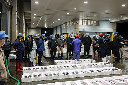 多種多様な魚介類が水揚げされた