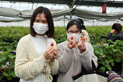 いちごを手に持ち、喜ぶ参加者