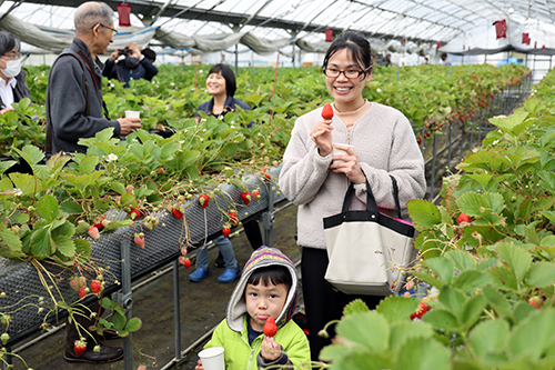 親子での参加も多く、地域との交流で休日を楽しんだ