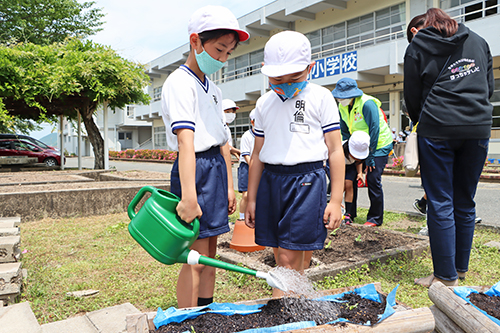 苗を植えた後は、「綺麗な花を咲かせてね」と水やり