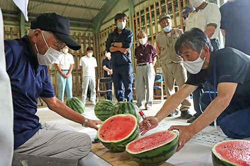 長門市日置の特産品「日置すいか」の出荷目慣らし会