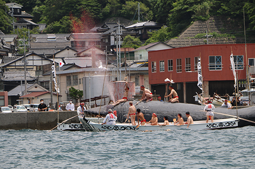 赤ふんどし姿の男衆がクジラをしとめる。