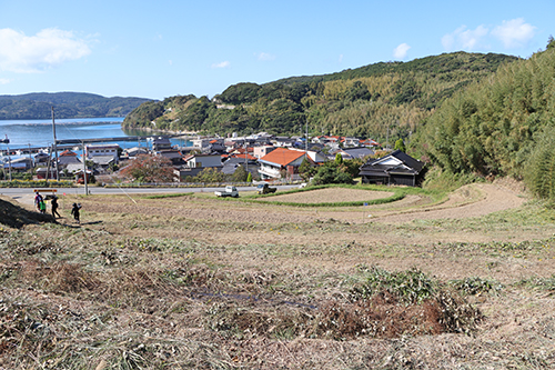 草刈を行った後の棚田にはすっきりとした綺麗な景色が広がっていた