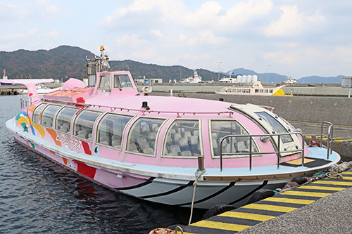今回の点検対象となったピンクシータス