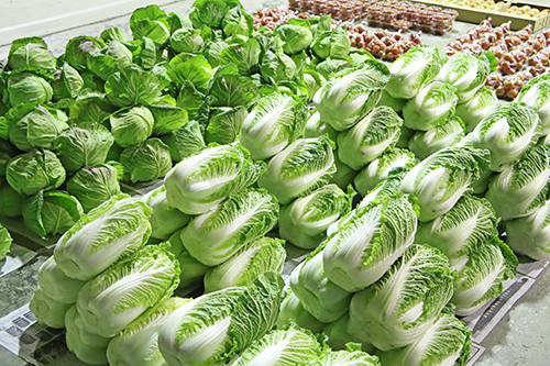 市場には多くの新鮮な野菜が綺麗に並べられた