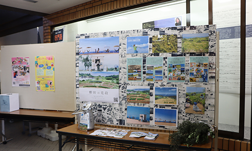 市民活動団体によるパネル展示