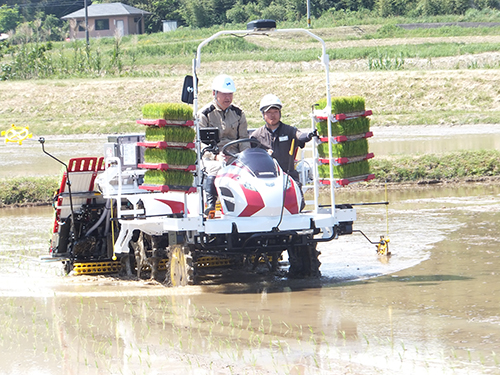 実演では、江原市長が田植機に乗車しました