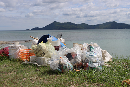只の浜で回収されたごみ