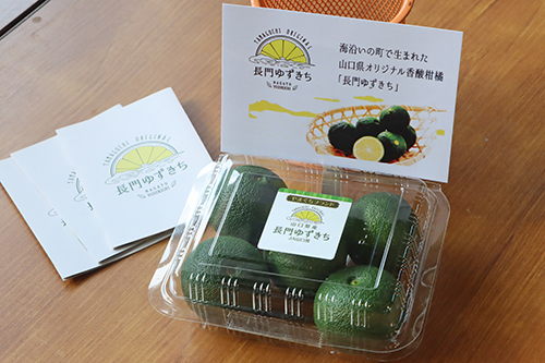 8月16日からスタートした長門ゆずきちの出荷