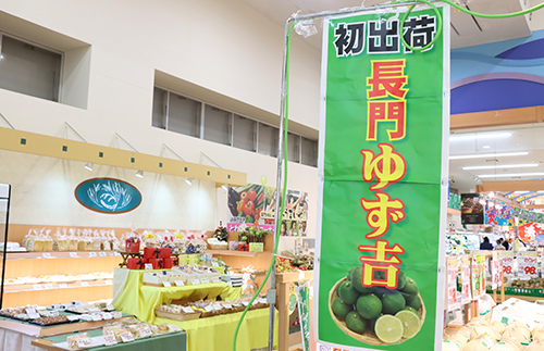 長門ゆずきちの初出荷をPR
