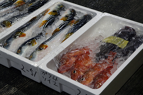 市場には多くの新鮮な魚が並べられた