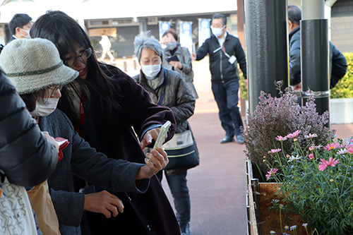 Googleレンズを使用し、花の種類などを検索しました