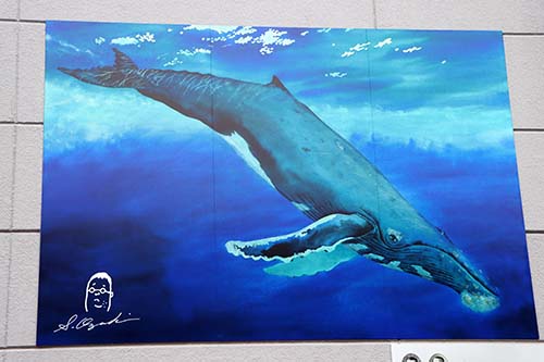 仙崎アート「鯨絵」