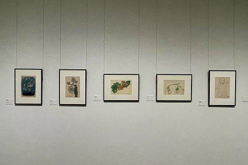 造形の基礎となるデッサン・素描”を主に展示