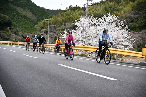 美しい海岸線に加え、桜も楽しみました