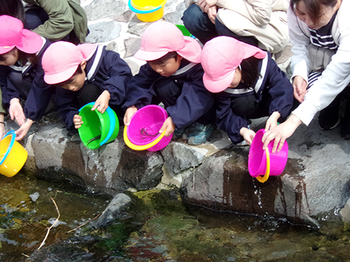 園児らが鮎を優しく川に放流