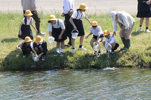 深川小学校児童が鮎を放流する様子