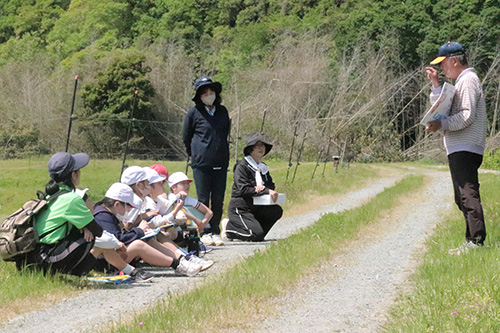 向陽小学校児童が鮎の説明を受ける様子