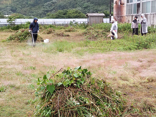 刈った草は回収しやすいように集める