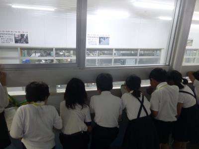 3年社会見学６