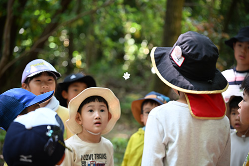 クモの糸に吊られている花びらに注目する子どもたち