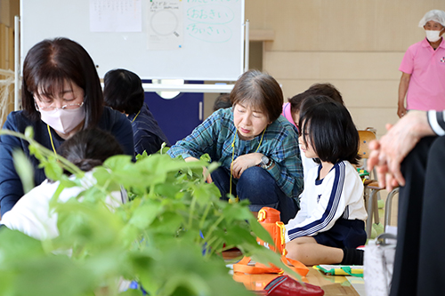 あさがおの観察をする1年生