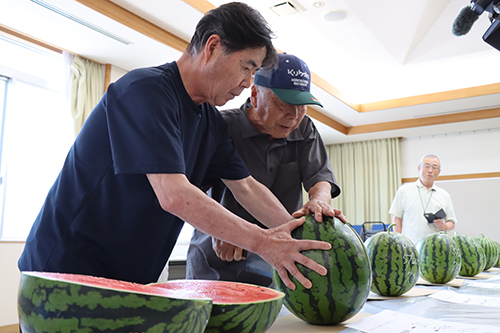 長門市日置の特産品「日置すいか」の出荷目慣らし会